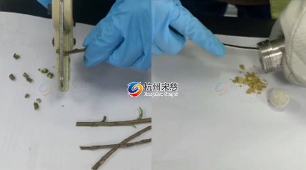 植物組織研磨儀對樹枝前處理實驗案例